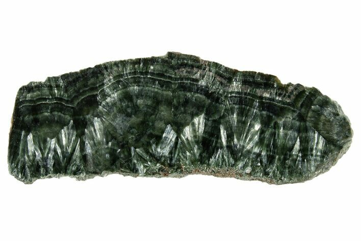 Polished Seraphinite Slab - Korshunovkiy Mine, Siberia #317725